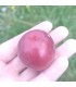Abricot-prune Pluot Selection