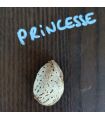 Amandier Princesse bio